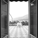 Suisse فندق